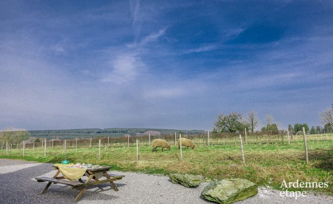 Ferienhaus Manhay 2/3 Pers. Ardennen