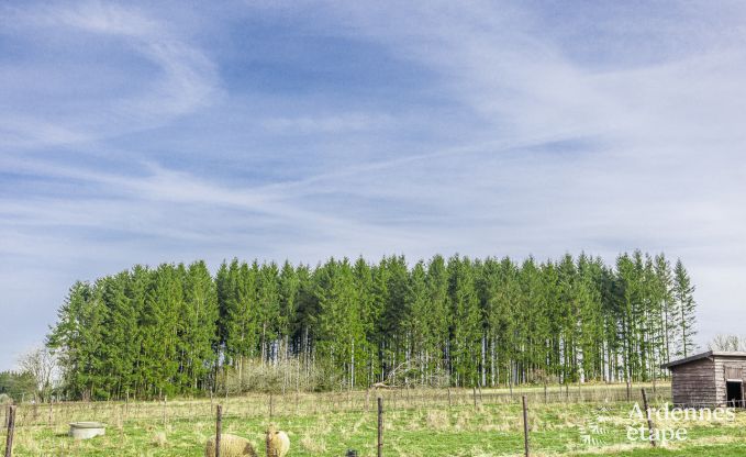 Ferienhaus Manhay 2/3 Pers. Ardennen