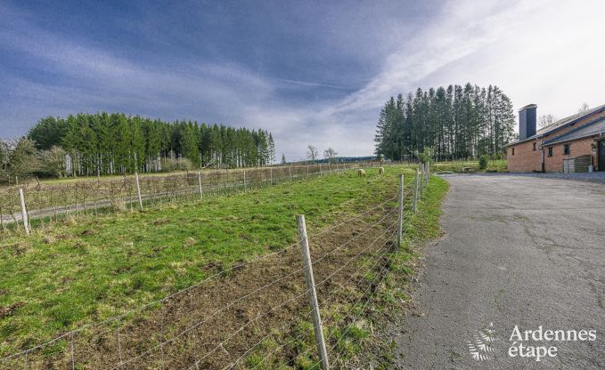 Ferienhaus Manhay 2/3 Pers. Ardennen