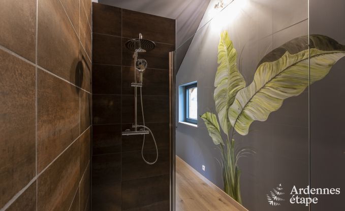 Ferienhaus Manhay 4/5 Pers. Ardennen Wellness