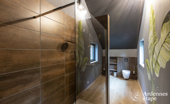 Ferienhaus Manhay 4/5 Pers. Ardennen Wellness