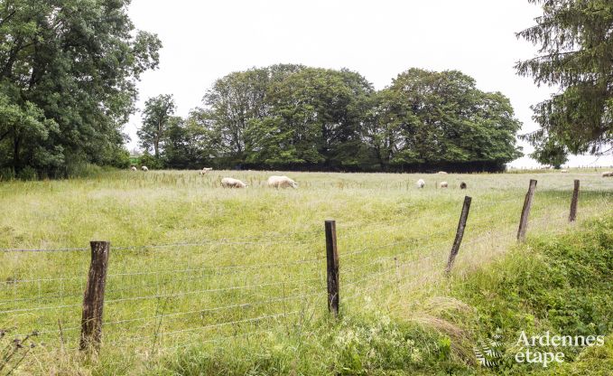 Ferienhaus Manhay 4/5 Pers. Ardennen Wellness