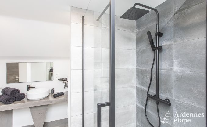 Ferienhaus Manhay 9 Pers. Ardennen Wellness