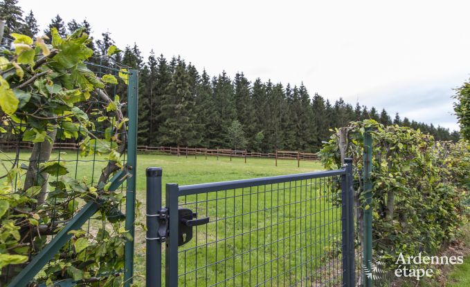 Ferienhaus Manhay 9 Pers. Ardennen Wellness