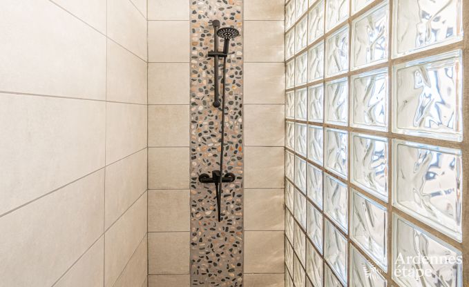 Ferienhaus Manhay 6/8 Pers. Ardennen Wellness