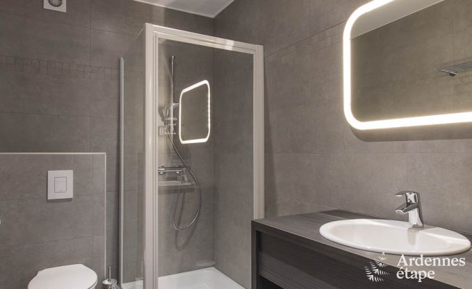 Ferienhaus Manhay 20 Pers. Ardennen Wellness