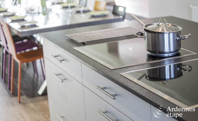 Ferienhaus Manhay 20 Pers. Ardennen Wellness