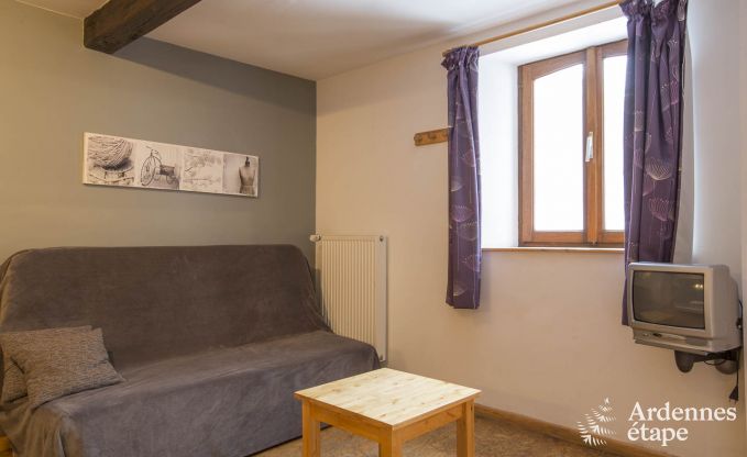 Ferienhaus Manhay 33 Pers. Ardennen Wellness