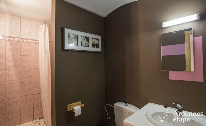 Ferienhaus Manhay 33 Pers. Ardennen Wellness