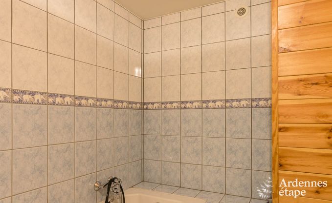 Ferienhaus Manhay 33 Pers. Ardennen Wellness