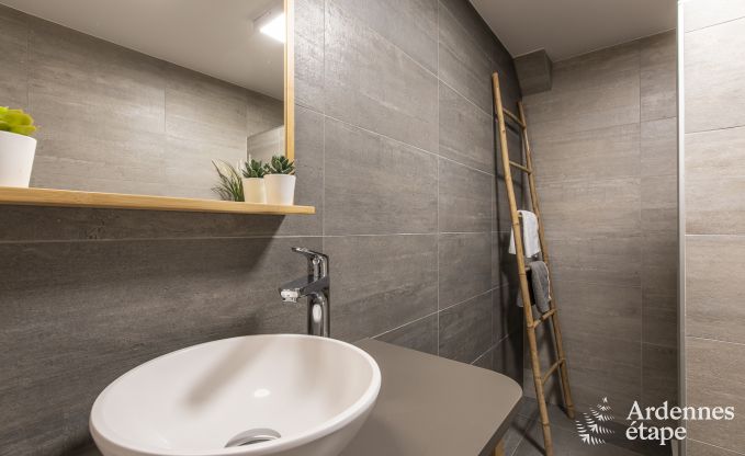 Ferienhaus Manhay 9 Pers. Ardennen Wellness