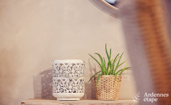 Ferienhaus Manhay 8 Pers. Ardennen