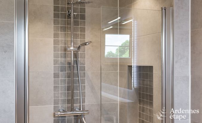 Ferienhaus Manhay 10 Pers. Ardennen Wellness