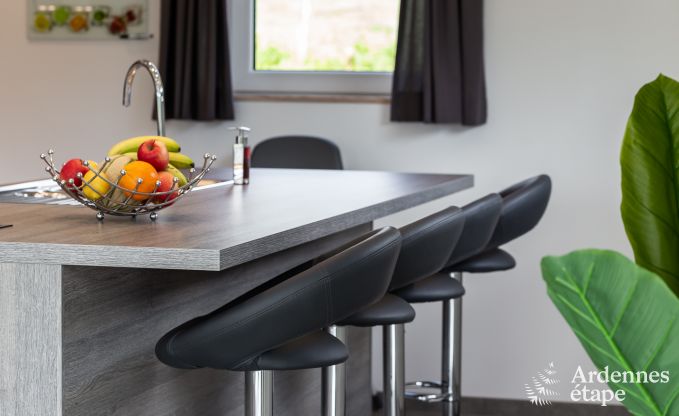 Ferienhaus Manhay 10 Pers. Ardennen Wellness