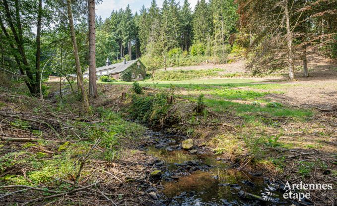 Charmantes Ferienhaus in Manhay fr 8 Personen, mit beheiztem Auenpool, privatem Teich und Fahrradgarage am Waldrand