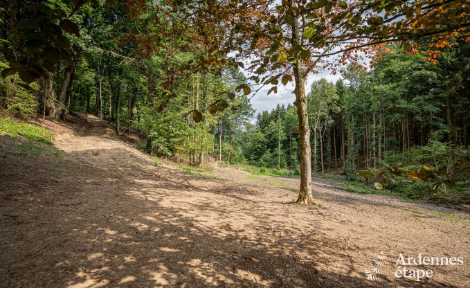 Charmantes Ferienhaus in Manhay fr 8 Personen, mit beheiztem Auenpool, privatem Teich und Fahrradgarage am Waldrand