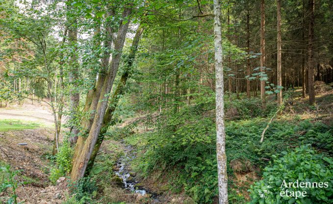 Charmantes Ferienhaus in Manhay fr 8 Personen, mit beheiztem Auenpool, privatem Teich und Fahrradgarage am Waldrand