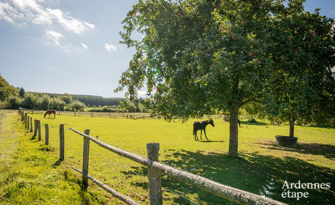 Ger�umiges Ferienhaus in Manhay f�r 15 Personen mit modernen Einrichtungen in den Ardennen