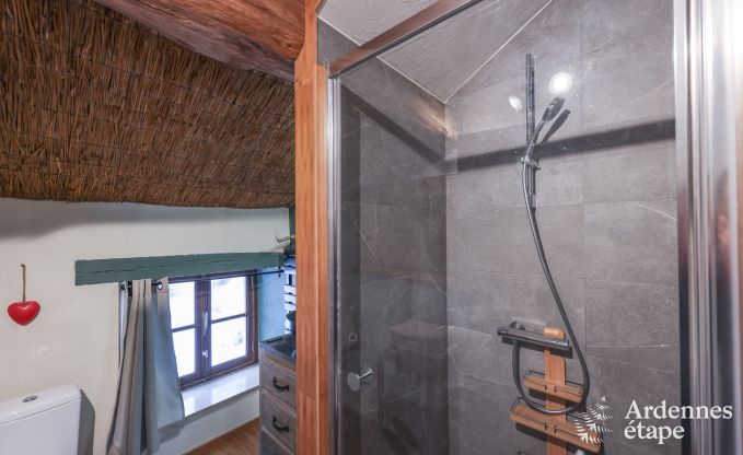 Ferienhaus Manhay 4/6 Pers. Ardennen