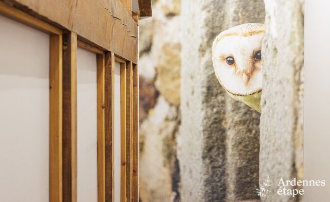 Ferienhaus Manhay 9 Pers. Ardennen