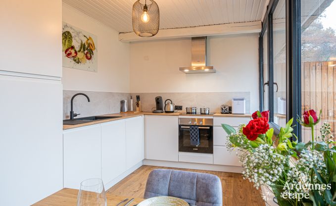 Ferienhaus Manhay 2 Pers. Ardennen Wellness
