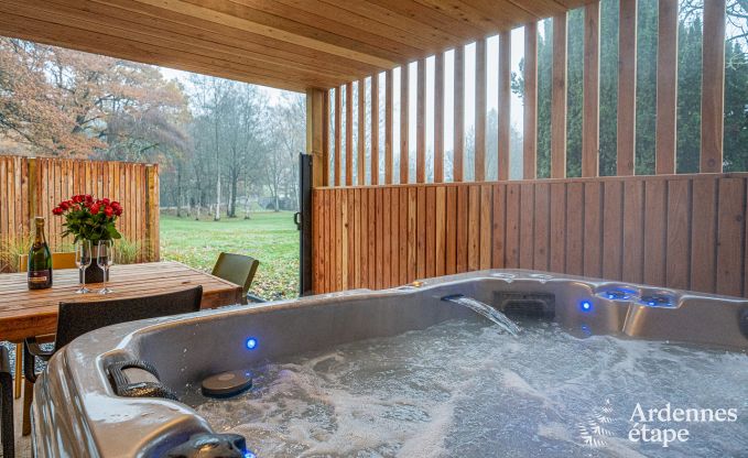 Ferienhaus Manhay 2 Pers. Ardennen Wellness