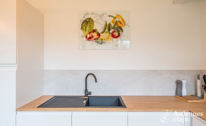 Ferienhaus Manhay 2 Pers. Ardennen Wellness