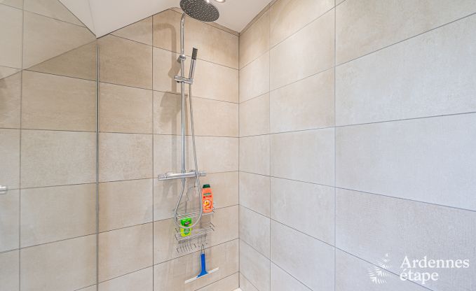 Ferienhaus Manhay 9 Pers. Ardennen Wellness