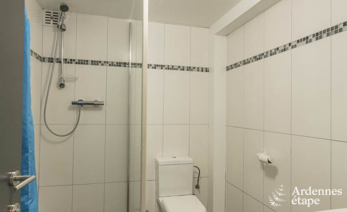 Ferienhaus Manhay 30 Pers. Ardennen Wellness