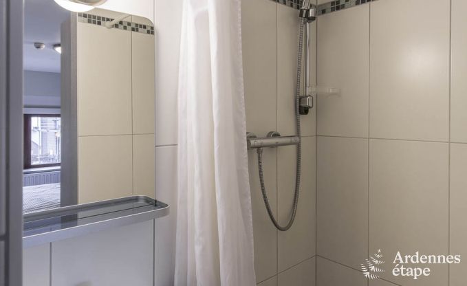 Ferienhaus Manhay 30 Pers. Ardennen Wellness