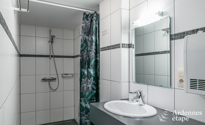 Ferienhaus mit Sauna und Spielen Manhay 20 Pers. Ardennen Wellness