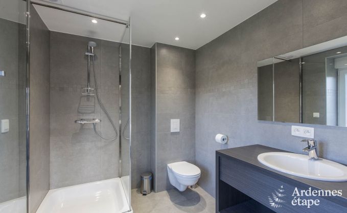 Ferienhaus Manhay 20 Pers. Ardennen Wellness