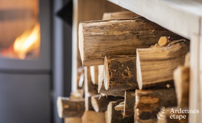 Ferienhaus Manhay 9 Pers. Ardennen Wellness