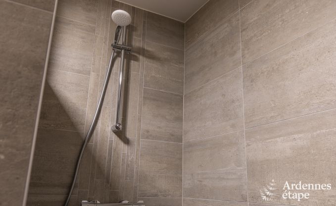 Ferienhaus Manhay 9 Pers. Ardennen Wellness