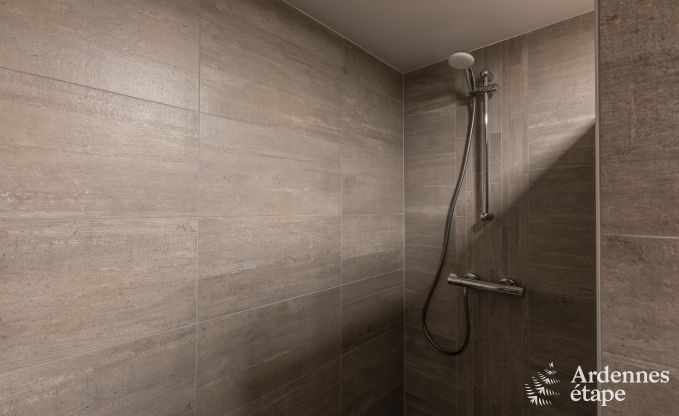 Ferienhaus Manhay 9 Pers. Ardennen Wellness