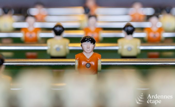 Ferienhaus Manhay 15 Pers. Ardennen Wellness