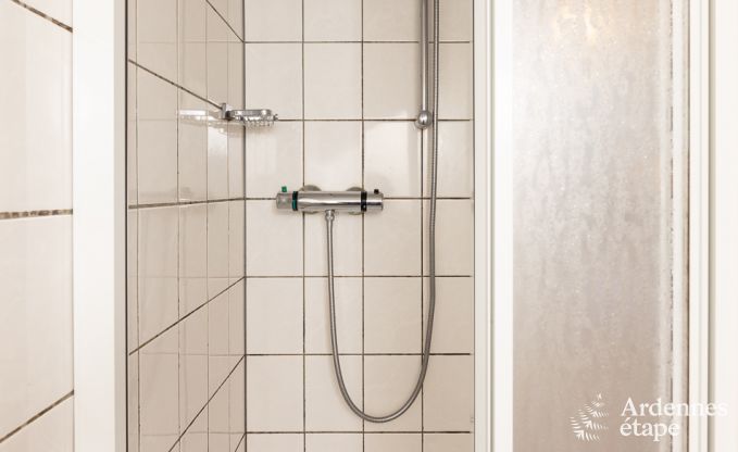 Ferienhaus Manhay 15 Pers. Ardennen Wellness