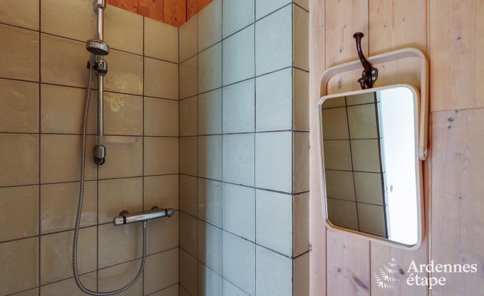 Ferienhaus Manhay 15 Pers. Ardennen Wellness