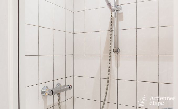 Ferienhaus Manhay 15 Pers. Ardennen Wellness