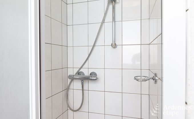 Ferienhaus Manhay 15 Pers. Ardennen Wellness