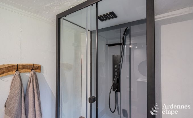 Charmantes Ferienhaus in Manhay fr 8 Personen, mit beheiztem Auenpool, privatem Teich und Fahrradgarage am Waldrand