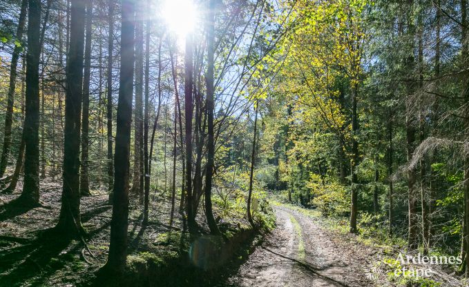 Ferienhaus Marche-en-Famenne 2/4 Pers. Ardennen