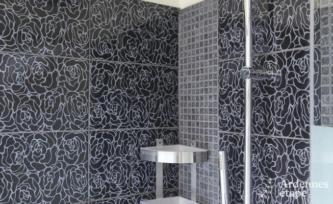 Luxusvilla Marche-en-Famenne 22 Pers. Ardennen Schwimmbad Wellness