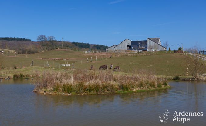 Luxusvilla Marche-en-Famenne 22 Pers. Ardennen Schwimmbad Wellness