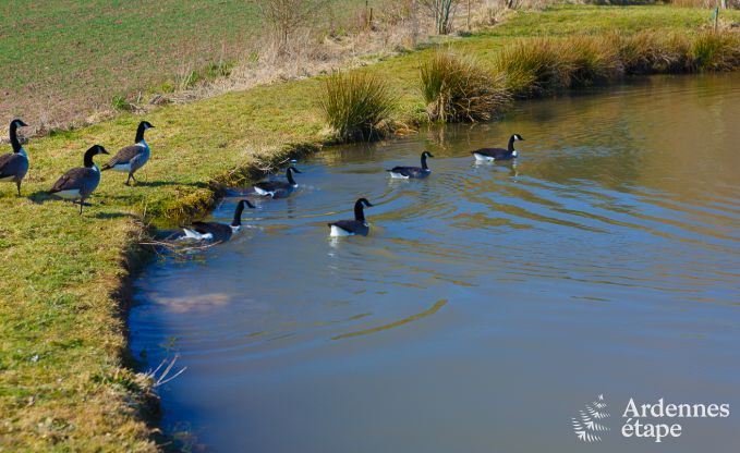 Luxusvilla Marche-en-Famenne 22 Pers. Ardennen Schwimmbad Wellness