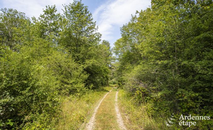 Chalet Marche-en-Famenne 4 Pers. Ardennen Behinderten gerecht
