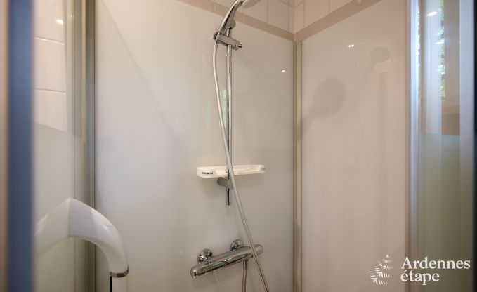 Holzchalet f�r 6 Personen inmitten der Natur in Marche-en-Famenne, Ardennen