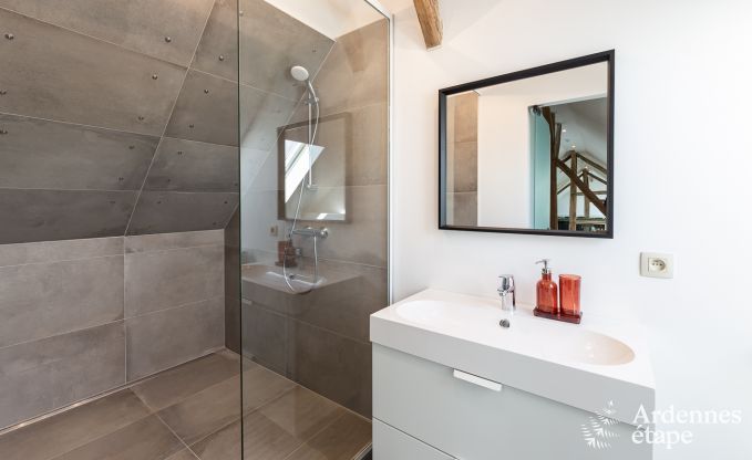 Ferienhaus Marche-en-Famenne 15 Pers. Ardennen Wellness Behinderten gerecht