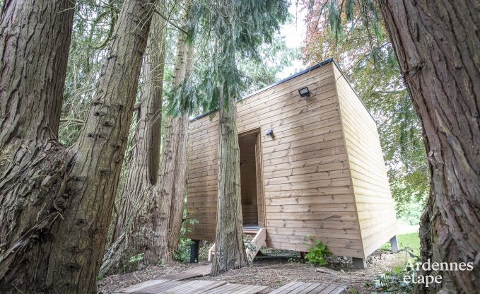 Schloss Marche-en-Famenne 15 Pers. Ardennen Schwimmbad Wellness