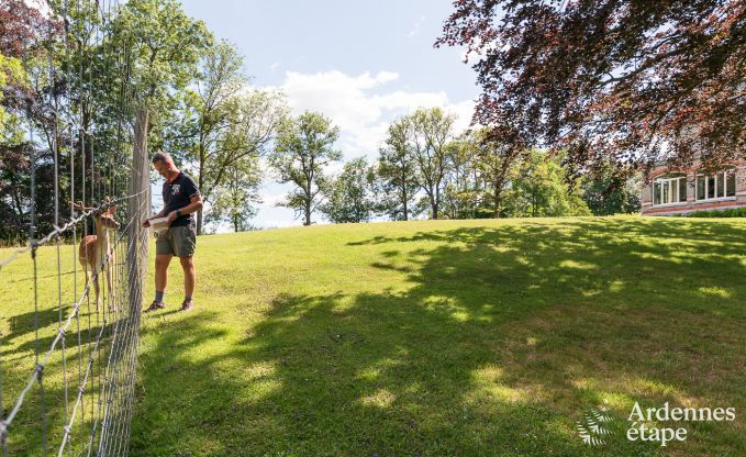 Schloss Marche-en-Famenne 15 Pers. Ardennen Schwimmbad Wellness